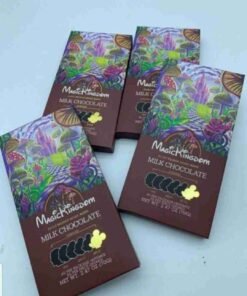 Magic Kingdom Mushroom chocolate bar 10 bars box - Fusion Bar Official